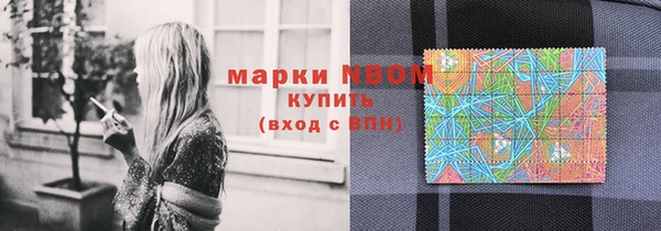 сатива Горнозаводск