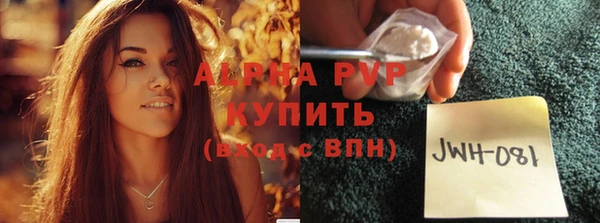 сатива Горнозаводск