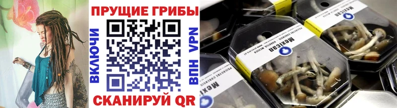 закладки  omg ссылки  Псилоцибиновые грибы ЛСД  Ярцево 